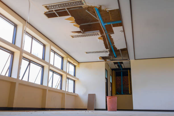 Best 24-hour water damage restoration  in Burlington, OH