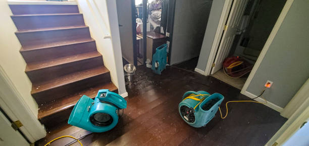 Best Water damage cleanup near me  in Burlington, OH