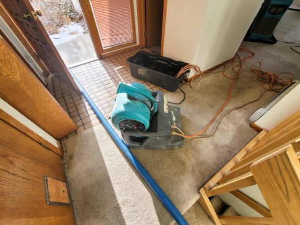Best Water damage restoration near me  in Burlington, OH