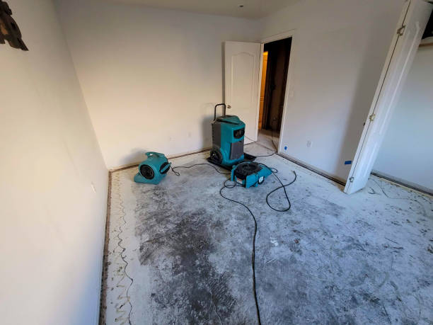 Best Professional water damage repair  in Burlington, OH