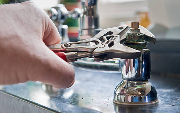 Best Flooded house restoration  in Burlington, OH