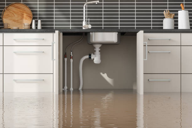 Best Ceiling water damage repair  in Burlington, OH