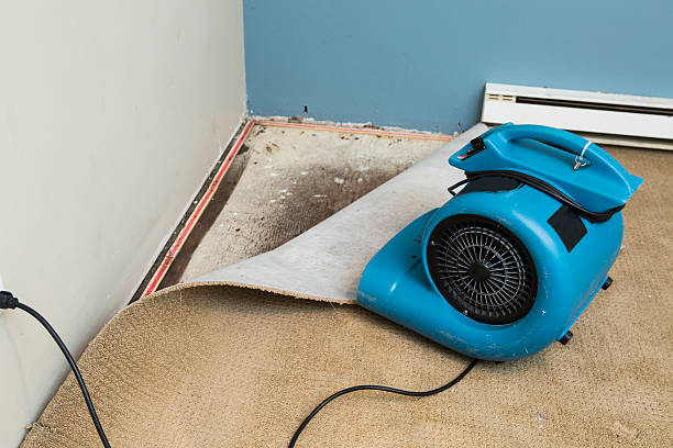 Best Carpet water damage restoration  in Burlington, OH